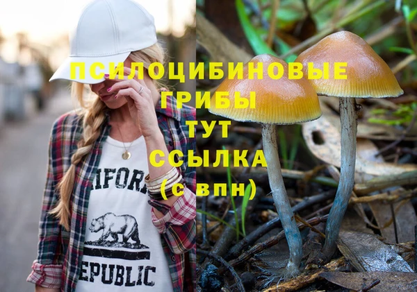 PSILOCYBIN Бородино